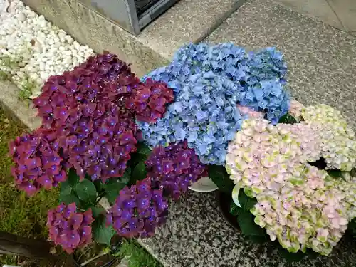 勝林寺(京都府)