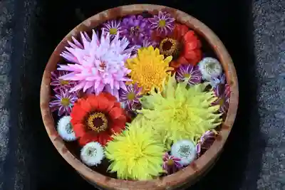 大鏑神社の手水舎