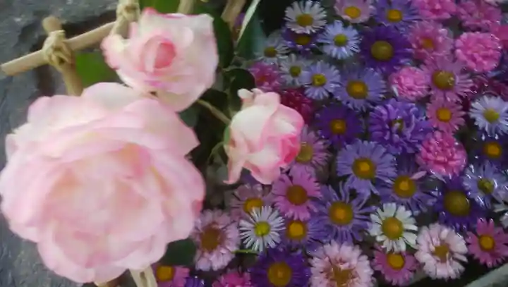 北広島市総鎮守 廣島神社の手水舎