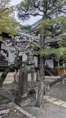 清浄華院(京都府)