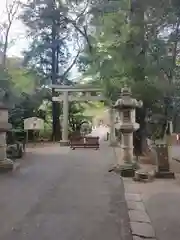 岩槻久伊豆神社の鳥居