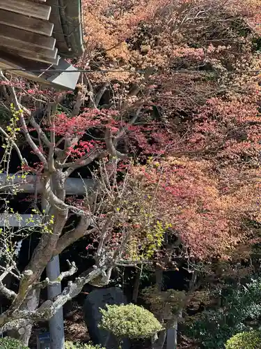 鹿島大神宮の自然