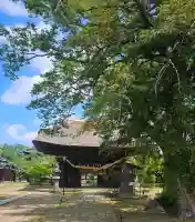 滑河山龍正院の{uncategorized: "未分類", other: "その他", undefined: "問題あり", building: "その他建物", grave: "お墓", sacred_gate: "鳥居", guardian: "狛犬", statue: "像", buddha: "仏像", history: "歴史", nature: "自然", garden: "庭園", animal: "動物", pagoda: "塔", temizu: "手水舎", mountain_gate: "山門・神門", sanctuary: "本殿・本堂", subordinate: "末社・摂社", art: "芸術", scenery: "景色", jizo: "地蔵", ema: "絵馬", goshuin: "御朱印", omikuji: "おみくじ", items: "授与品その他", amulet: "お守り", goshuincho: "御朱印帳", eats: "食事", festival: "お祭り", votive_dance: "神楽", shichigosan: "七五三参", wedding: "結婚式", experience: "体験その他", initially: "初詣", around: "周辺", anti_infection: "感染症対策"}