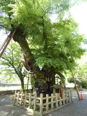 彌榮神社(島根県)