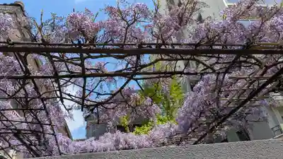 妙壽禅寺(妙寿寺)(大阪府)