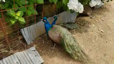 楽法寺（雨引観音）(茨城県)