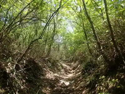 諏訪神社奥宮の周辺