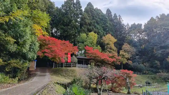 鶏足寺(滋賀県)