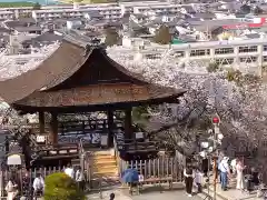 園城寺（三井寺）(滋賀県)