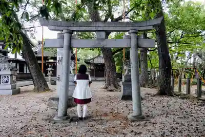 和泉八劔神社の鳥居