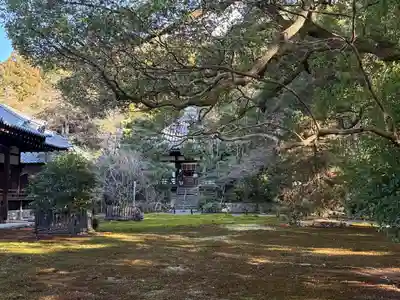 青蓮院門跡(京都府)