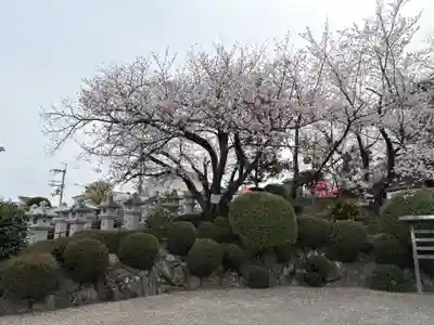 不動寺(大阪府)