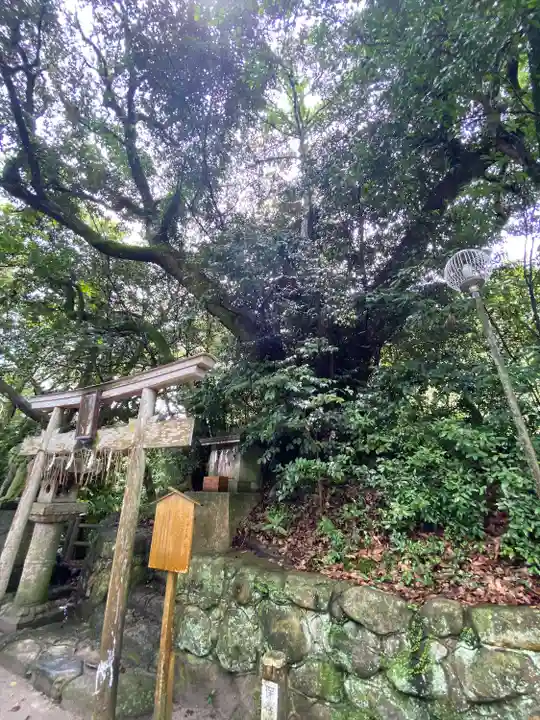 志賀海神社(福岡県)