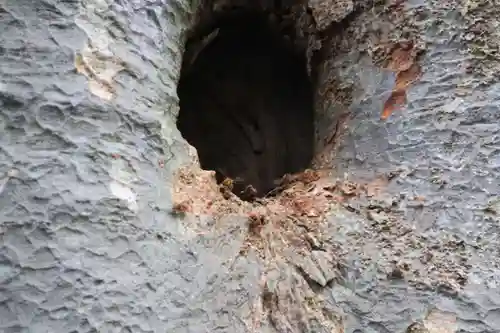 愛宕神社の自然