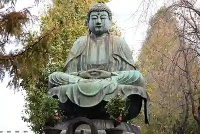 吉祥寺(東京都)