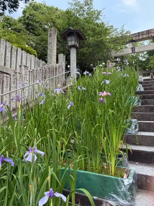 宮地嶽神社(福岡県)