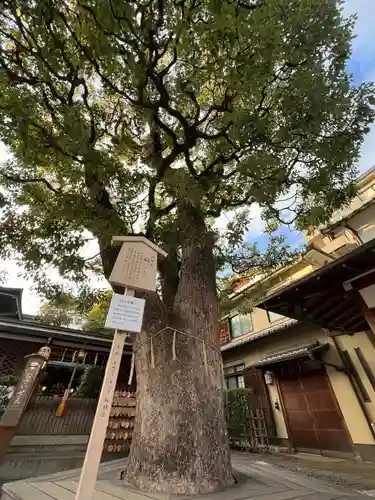 晴明神社(京都府)