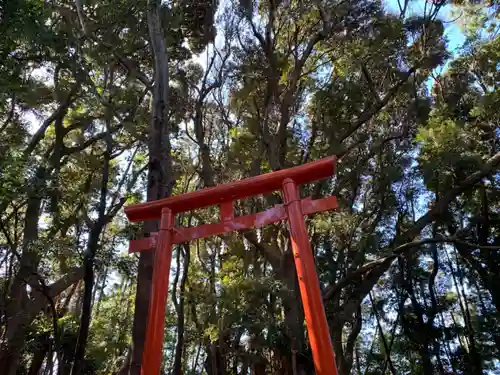 神社（名称不明）の鳥居