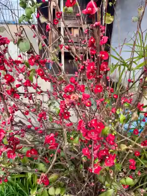 大蓮寺の{uncategorized: "未分類", other: "その他", undefined: "問題あり", building: "その他建物", grave: "お墓", sacred_gate: "鳥居", guardian: "狛犬", statue: "像", buddha: "仏像", history: "歴史", nature: "自然", garden: "庭園", animal: "動物", pagoda: "塔", temizu: "手水舎", mountain_gate: "山門・神門", sanctuary: "本殿・本堂", subordinate: "末社・摂社", art: "芸術", scenery: "景色", jizo: "地蔵", ema: "絵馬", goshuin: "御朱印", omikuji: "おみくじ", items: "授与品その他", amulet: "お守り", goshuincho: "御朱印帳", eats: "食事", festival: "お祭り", votive_dance: "神楽", shichigosan: "七五三参", wedding: "結婚式", experience: "体験その他", initially: "初詣", around: "周辺", anti_infection: "感染症対策"}