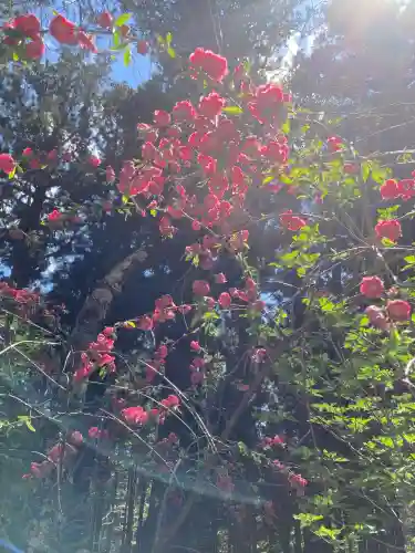 新海三社神社(長野県)