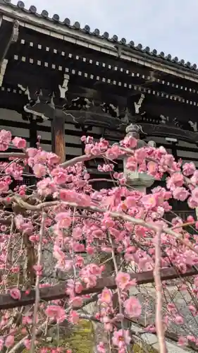 本法寺(京都府)