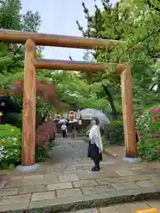 堀越神社(大阪府)