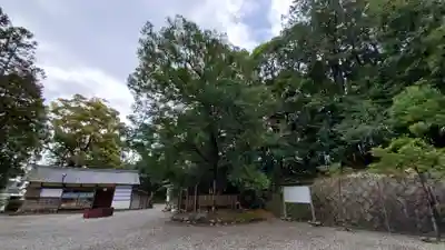 宇賀多神社の自然
