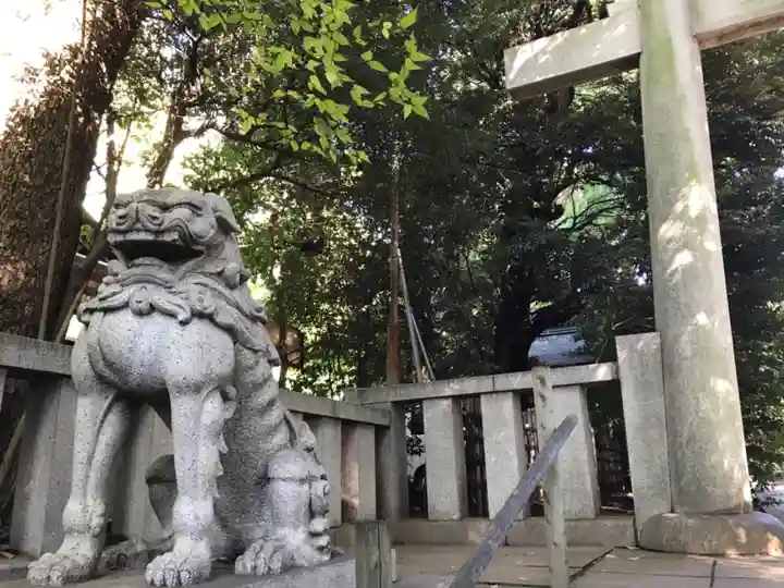 渋谷氷川神社の狛犬