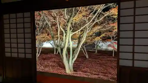 妙覺寺（妙覚寺）(京都府)