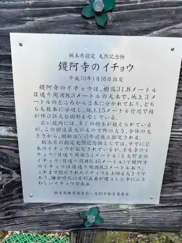 鑁阿寺(栃木県)