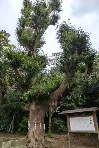 鎌数伊勢大神宮(千葉県)