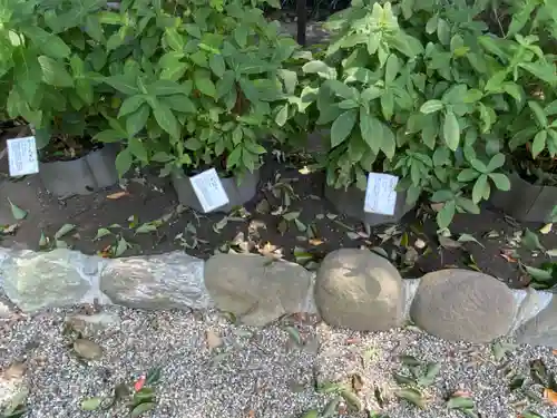 瀬戸神社の自然