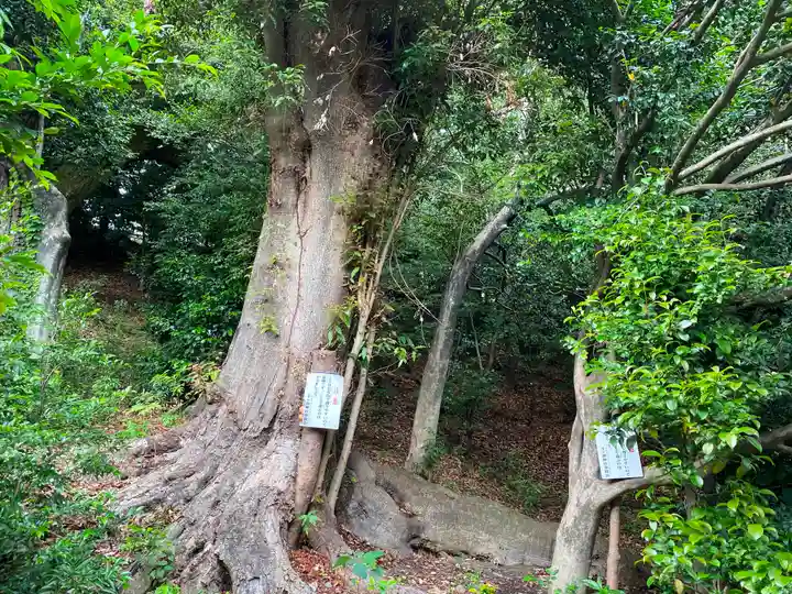 千ケ瀬神社の自然