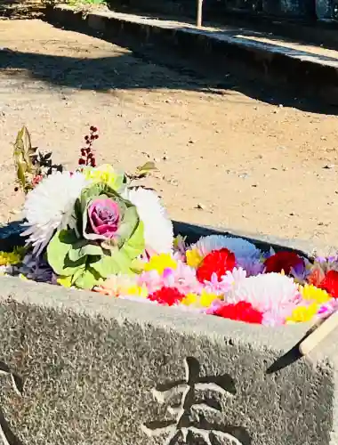 慈光寺(弓田ポックリ不動尊)の{uncategorized: "未分類", other: "その他", undefined: "問題あり", building: "その他建物", grave: "お墓", sacred_gate: "鳥居", guardian: "狛犬", statue: "像", buddha: "仏像", history: "歴史", nature: "自然", garden: "庭園", animal: "動物", pagoda: "塔", temizu: "手水舎", mountain_gate: "山門・神門", sanctuary: "本殿・本堂", subordinate: "末社・摂社", art: "芸術", scenery: "景色", jizo: "地蔵", ema: "絵馬", goshuin: "御朱印", omikuji: "おみくじ", items: "授与品その他", amulet: "お守り", goshuincho: "御朱印帳", eats: "食事", festival: "お祭り", votive_dance: "神楽", shichigosan: "七五三参", wedding: "結婚式", experience: "体験その他", initially: "初詣", around: "周辺", anti_infection: "感染症対策"}