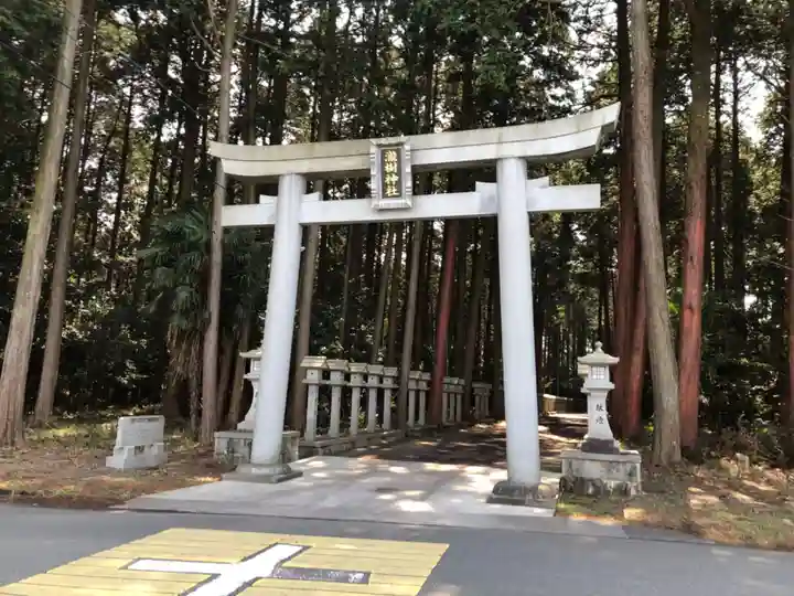 瀧樹神社の鳥居