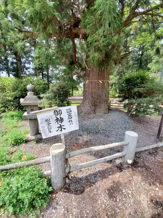 小川温泉神社の自然