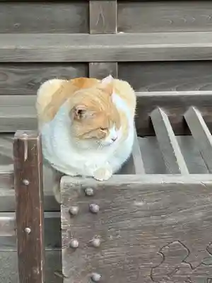 雀神社(茨城県)