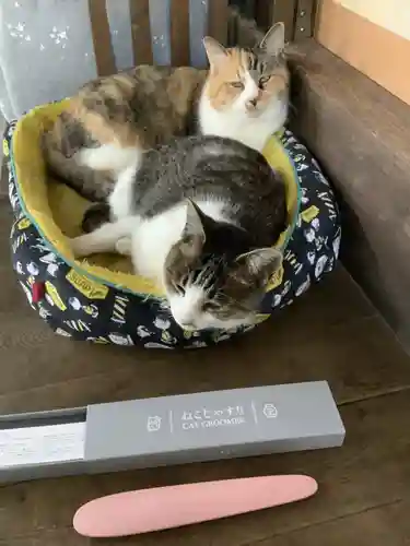 玉野御嶽神社の動物