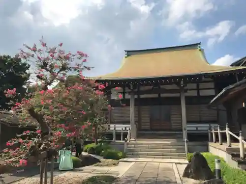 良泉寺の本殿・本堂