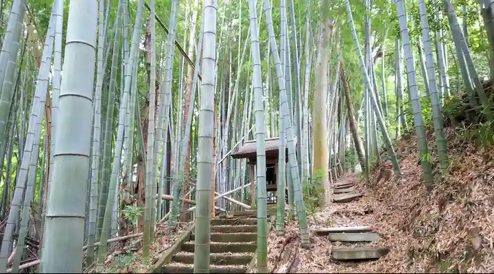 蔵敷熊野神社の末社・摂社