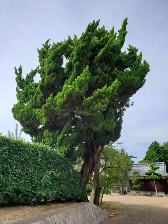 清水神社の自然