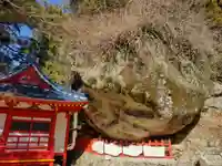 平尾井薬師(三重県)