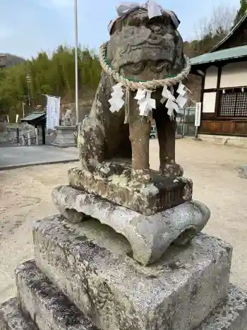 椎尾八幡宮の御朱印 2024年03月