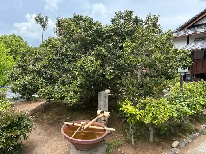 総見院の{uncategorized: "未分類", other: "その他", undefined: "問題あり", building: "その他建物", grave: "お墓", sacred_gate: "鳥居", guardian: "狛犬", statue: "像", buddha: "仏像", history: "歴史", nature: "自然", garden: "庭園", animal: "動物", pagoda: "塔", temizu: "手水舎", mountain_gate: "山門・神門", sanctuary: "本殿・本堂", subordinate: "末社・摂社", art: "芸術", scenery: "景色", jizo: "地蔵", ema: "絵馬", goshuin: "御朱印", omikuji: "おみくじ", items: "授与品その他", amulet: "お守り", goshuincho: "御朱印帳", eats: "食事", festival: "お祭り", votive_dance: "神楽", shichigosan: "七五三参", wedding: "結婚式", experience: "体験その他", initially: "初詣", around: "周辺", anti_infection: "感染症対策"}