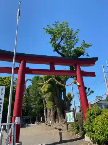 生品神社(群馬県)