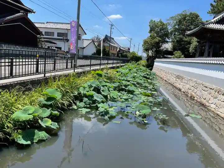 雲龍山 本證寺(愛知県)