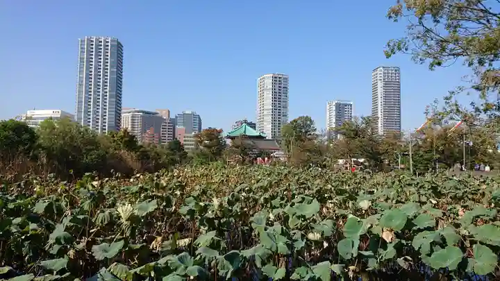 寛永寺不忍池弁天堂の周辺