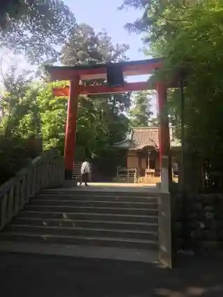 白笹稲荷神社の鳥居