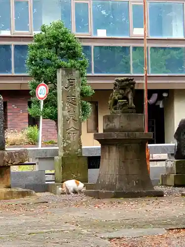 阿邪訶根神社の動物