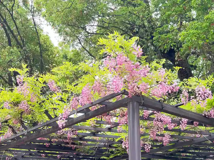 葛井寺(大阪府)